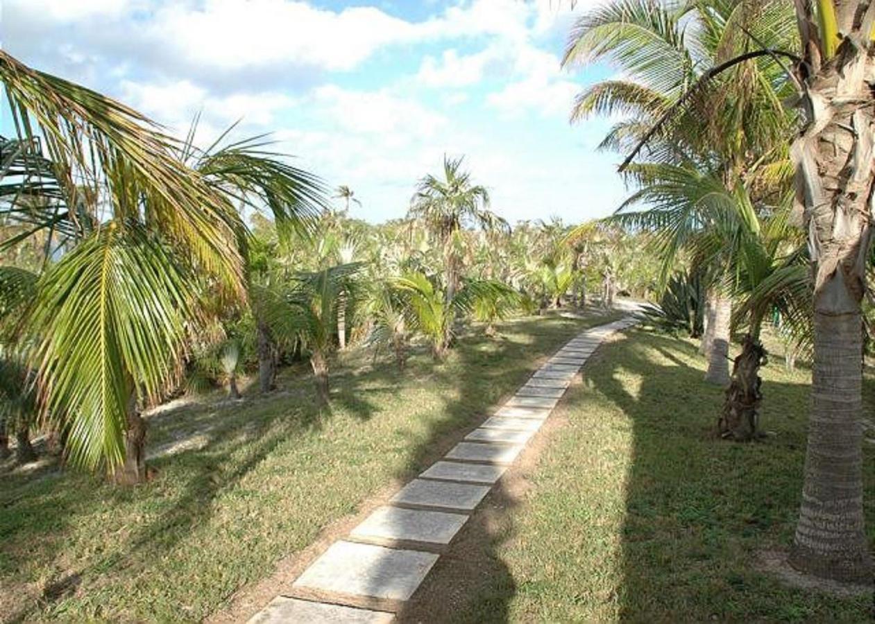 North Palmetto Point Rocks Retreat By Eleuthera Vacation Rentals المظهر الخارجي الصورة